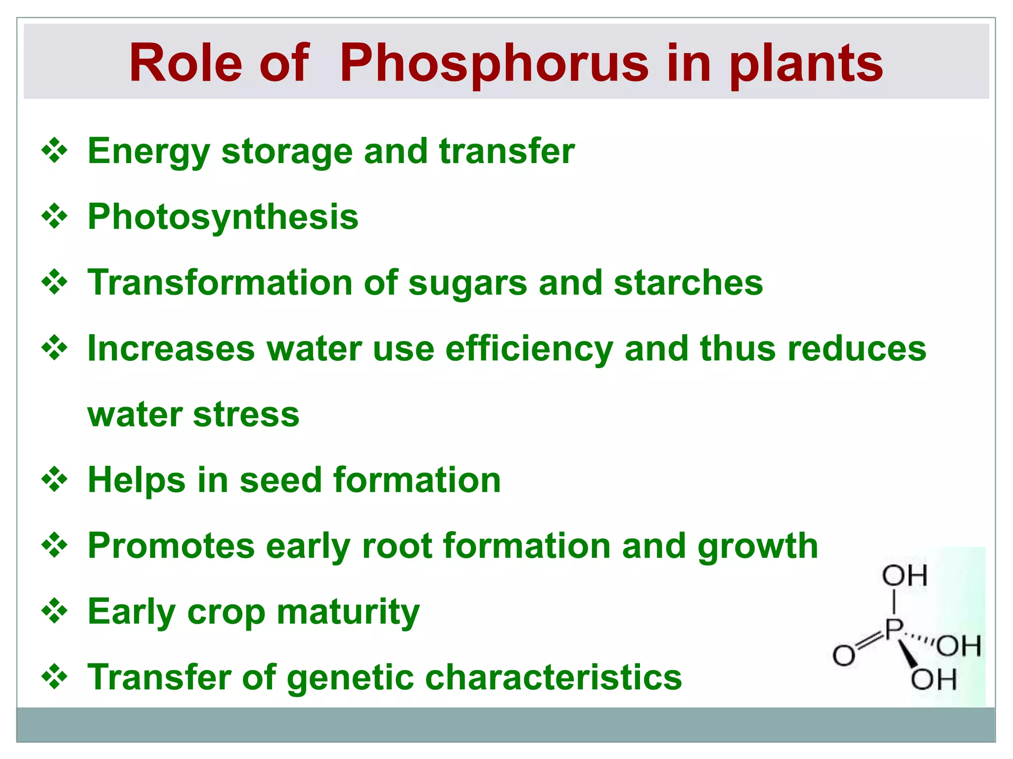 Role of Phosphorus in plants
 Energy storage and transfer
 Photosynthesis
 Transformation of sugars and starches
 Increases water use efficiency and thus reduces
water stress
 Helps in seed formation
 Promotes early root formation and growth
 Early crop maturity
 Transfer of genetic characteristics
 