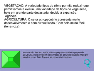 VEGETAÇÃO: A variedade tipos de clima permite reduzir que
primitivamente existiu uma variedade de tipos de vegetação,
hoje em grande parte devastada, devido à expansão
 Agrícola.
AGRICULTURA: O setor agropecuário apresenta muito
desenvolvimento e bem diversificado. Com solo muito fértil
(terra roxa).




            Nosso maior tesouro verde, são as pequenas matas e grupos de
            ECOLOGIA que protegem essa massa de poluição causada mais por
            estados como São Paulo e as com mais indústrias.
 