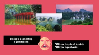 Baixos planaltos
e planícies
*Clima tropical úmido
*Clima equatorial
 