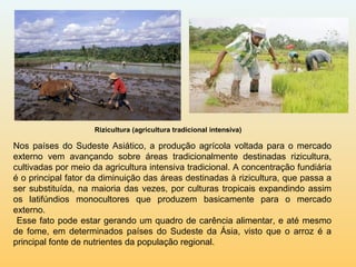 Nos países do Sudeste Asiático, a produção agrícola voltada para o mercado
externo vem avançando sobre áreas tradicionalmente destinadas rizicultura,
cultivadas por meio da agricultura intensiva tradicional. A concentração fundiária
é o principal fator da diminuição das áreas destinadas à rizicultura, que passa a
ser substituída, na maioria das vezes, por culturas tropicais expandindo assim
os latifúndios monocultores que produzem basicamente para o mercado
externo.
Esse fato pode estar gerando um quadro de carência alimentar, e até mesmo
de fome, em determinados países do Sudeste da Ásia, visto que o arroz é a
principal fonte de nutrientes da população regional.
Rizicultura (agricultura tradicional intensiva)
 