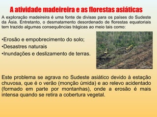 A atividade madeireira e as florestas asiáticas
A exploração madeireira é uma fonte de divisas para os países do Sudeste
da Ásia. Entretanto, o desmatamento desordenado de florestas equatoriais
tem trazido algumas consequências trágicas ao meio tais como:
•Erosão e empobrecimento do solo;
•Desastres naturais
•Inundações e deslizamento de terras.
Este problema se agrava no Sudeste asiático devido à estação
chuvosa, que é o verão (monção úmida) e ao relevo acidentado
(formado em parte por montanhas), onde a erosão é mais
intensa quando se retira a cobertura vegetal.
 