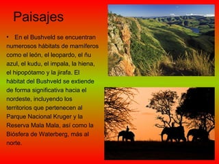 Paisajes En el Bushveld se encuentran  numerosos hábitats de mamíferos como el león, el leopardo, el ñu azul, el kudu, el impala, la hiena, el hipopótamo y la jirafa. El hábitat del Bushveld se extiende de forma significativa hacia el nordeste, incluyendo los territorios que pertenecen al  Parque Nacional Kruger y la  Reserva Mala Mala, así como la  Biósfera de Waterberg, más al  norte.  