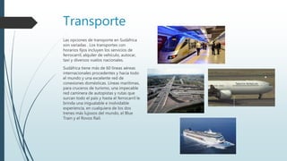 Transporte
Las opciones de transporte en Sudáfrica
son variadas . Los transportes con
horarios fijos incluyen los servicios de
ferrocarril, alquiler de vehículo, autocar,
taxi y diversos vuelos nacionales.
Sudáfrica tiene más de 60 líneas aéreas
internacionales procedentes y hacia todo
el mundo y una excelente red de
conexiones domésticas. Líneas marítimas,
para cruceros de turismo, una impecable
red caminera de autopistas y rutas que
surcan todo el país y hasta el ferrocarril le
brinda una inigualable e inolvidable
experiencia, en cualquiera de los dos
trenes más lujosos del mundo, el Blue
Train y el Rovos Rail.
 