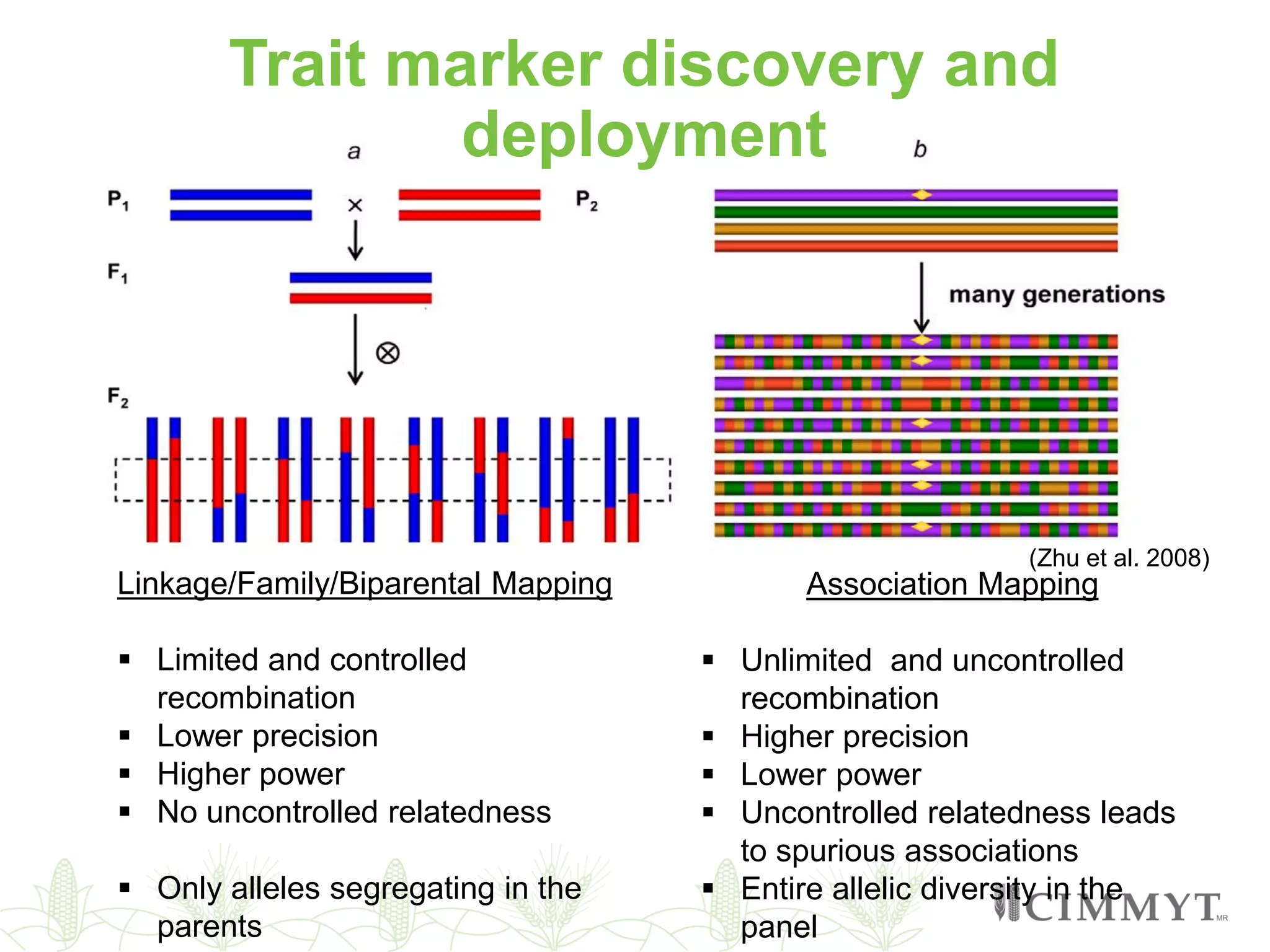 Linkage/Family/Biparental Mapping
 Limited and controlled
recombination
 Lower precision
 Higher power
 No uncontrolled relatedness
 Only alleles segregating in the
parents
Association Mapping
 Unlimited and uncontrolled
recombination
 Higher precision
 Lower power
 Uncontrolled relatedness leads
to spurious associations
 Entire allelic diversity in the
panel
(Zhu et al. 2008)
Trait marker discovery and
deployment
 