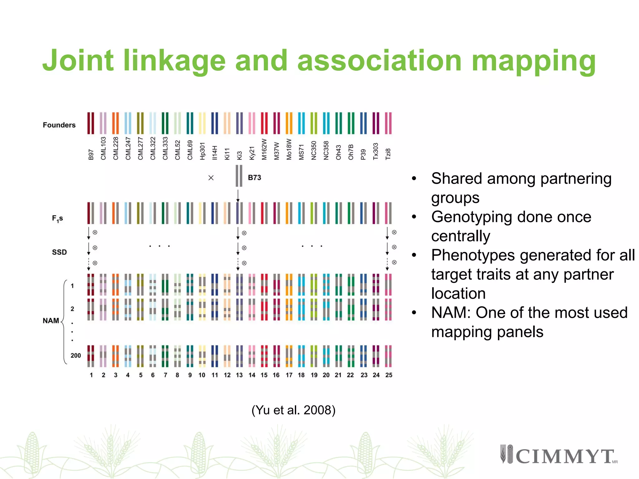 Joint linkage and association mapping
(Yu et al. 2008)
• Shared among partnering
groups
• Genotyping done once
centrally
• Phenotypes generated for all
target traits at any partner
location
• NAM: One of the most used
mapping panels
 