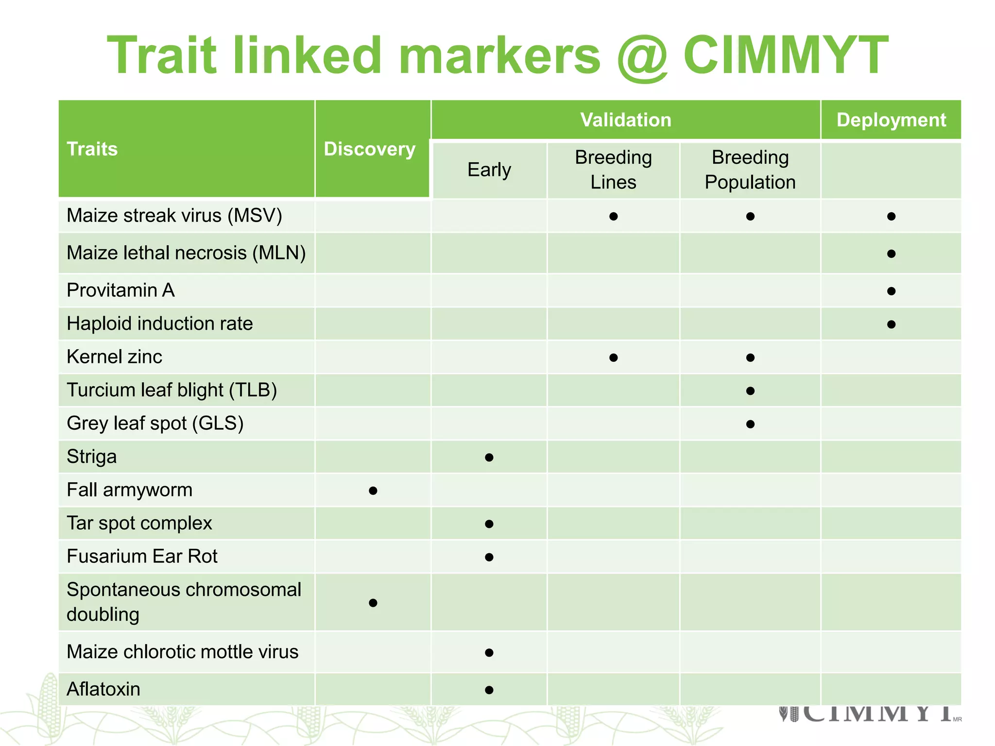 Traits Discovery
Validation Deployment
Early
Breeding
Lines
Breeding
Population
Maize streak virus (MSV) ● ● ●
Maize lethal necrosis (MLN) ●
Provitamin A ●
Haploid induction rate ●
Kernel zinc ● ●
Turcium leaf blight (TLB) ●
Grey leaf spot (GLS) ●
Striga ●
Fall armyworm ●
Tar spot complex ●
Fusarium Ear Rot ●
Spontaneous chromosomal
doubling
●
Maize chlorotic mottle virus ●
Aflatoxin ●
Trait linked markers @ CIMMYT
 