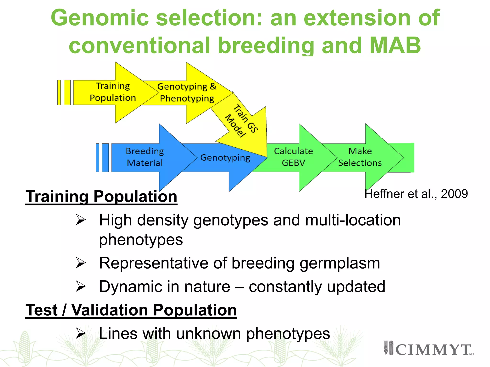 Genomic selection: an extension of
conventional breeding and MAB
Training Population
 High density genotypes and multi-location
phenotypes
 Representative of breeding germplasm
 Dynamic in nature – constantly updated
Test / Validation Population
 Lines with unknown phenotypes
Heffner et al., 2009
 