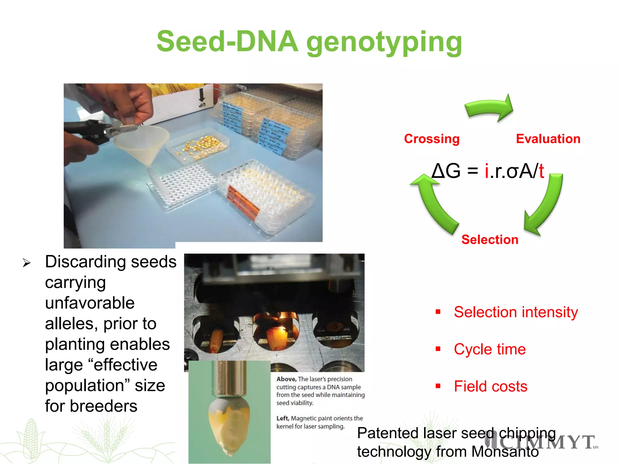 Seed-DNA genotyping
Patented laser seed chipping
technology from Monsanto
 Discarding seeds
carrying
unfavorable
alleles, prior to
planting enables
large “effective
population” size
for breeders
 Selection intensity
 Cycle time
 Field costs
Evaluation
Selection
Crossing
ΔG = i.r.σA/t
 