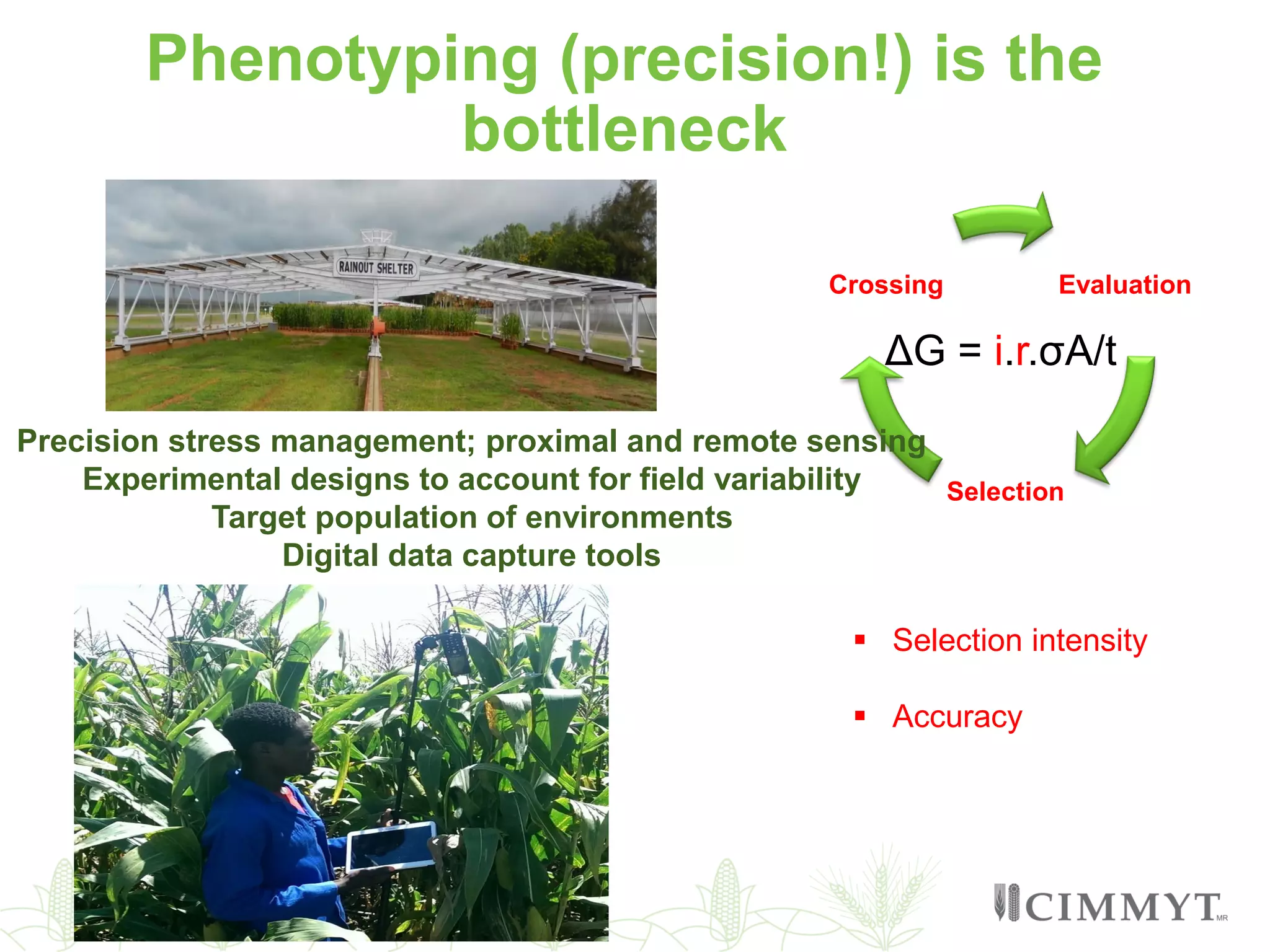 Phenotyping (precision!) is the
bottleneck
Evaluation
Selection
Crossing
ΔG = i.r.σA/t
 Selection intensity
 Accuracy
Precision stress management; proximal and remote sensing
Experimental designs to account for field variability
Target population of environments
Digital data capture tools
 
