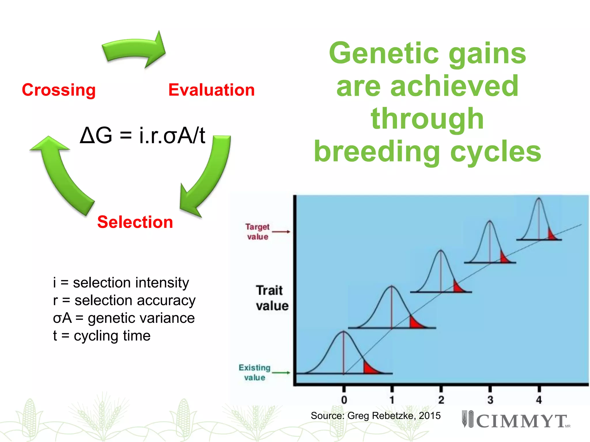 Evaluation
Selection
Crossing
Source: Greg Rebetzke, 2015
ΔG = i.r.σA/t
i = selection intensity
r = selection accuracy
σA = genetic variance
t = cycling time
Genetic gains
are achieved
through
breeding cycles
 
