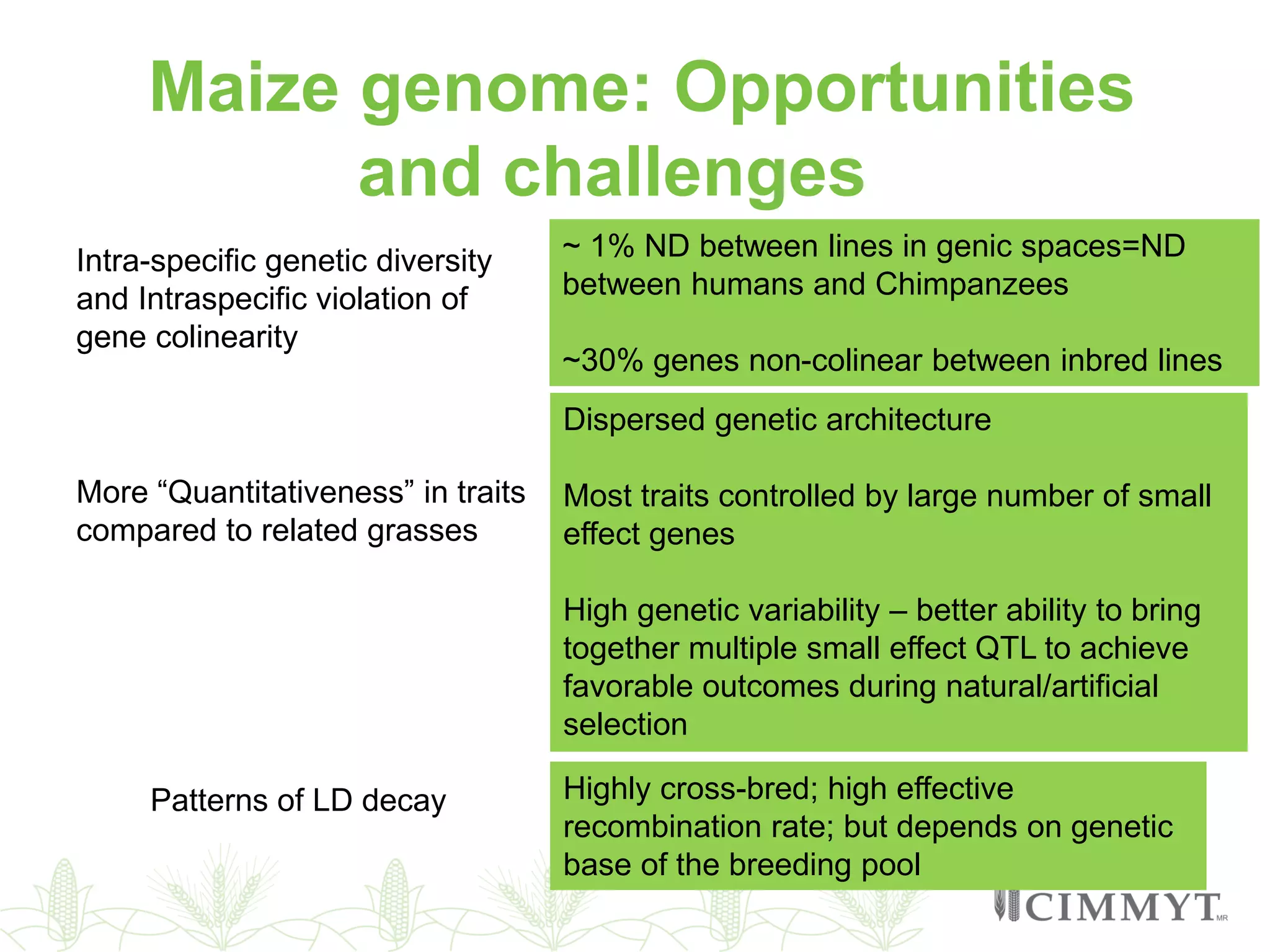 Maize genome: Opportunities
and challenges a
More “Quantitativeness” in traits
compared to related grasses
Dispersed genetic architecture
Most traits controlled by large number of small
effect genes
High genetic variability – better ability to bring
together multiple small effect QTL to achieve
favorable outcomes during natural/artificial
selection
Intra-specific genetic diversity
and Intraspecific violation of
gene colinearity
~ 1% ND between lines in genic spaces=ND
between humans and Chimpanzees
~30% genes non-colinear between inbred lines
Patterns of LD decay Highly cross-bred; high effective
recombination rate; but depends on genetic
base of the breeding pool
 