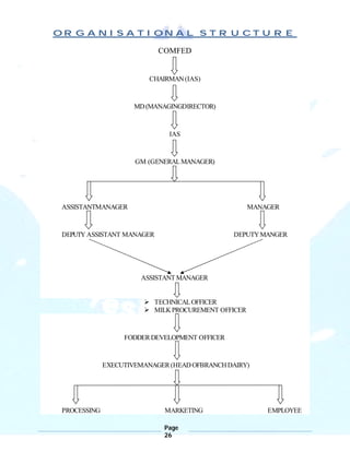 Page
26
ORGANISATIONAL STRUCTURE
COMFED
CHAIRMAN(IAS)
MD(MANAGINGDIRECTOR)
IAS
GM (GENERALMANAGER)
ASSISTANTMANAGER MANAGER
DEPUTY ASSISTANT MANAGER DEPUTYMANGER
ASSISTANT MANAGER
 TECHNICALOFFICER
 MILKPROCUREMENT OFFICER
FODDERDEVELOPMENT OFFICER
EXECUTIVEMANAGER(HEADOFBRANCHDAIRY)
PROCESSING MARKETING EMPLOYEE
 