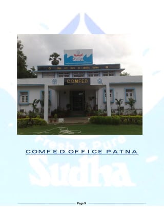 Page 9
COMFED OFFICE PATNA
 