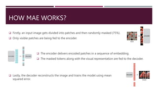 | Assignment on Masked Autoencoders (MAE) | | PPTX | Computing ...