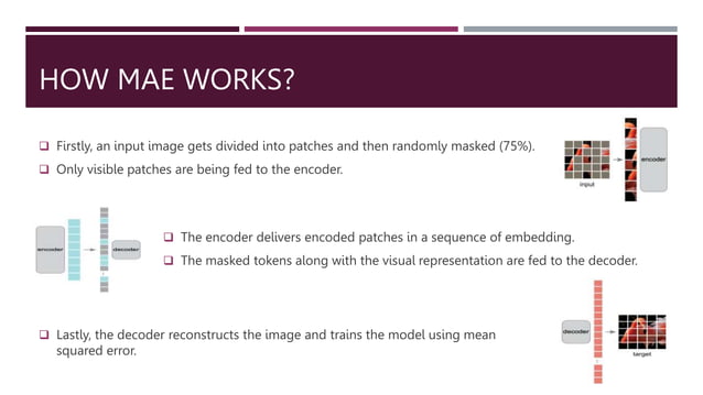 | Assignment on Masked Autoencoders (MAE) | | PPTX | Computing ...