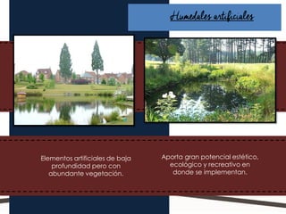 En el área se cuenta con pozos de visita, así
como también red recolectora de aguas
residuales y sistema de alcantarillado.
Humedales artificiales
Elementos artificiales de baja
profundidad pero con
abundante vegetación.
Aporta gran potencial estético,
ecológico y recreativo en
donde se implementan.
 