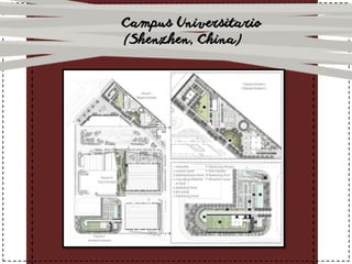Campus Universitario
(Shenzhen, China)
 
