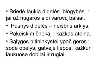 Briedė laukia didelės  blogybės  : jai už nugaros aidi varovų balsai. Pusnys didelės – neišbris arklys. Pakeiskim šneką – kažkas ateina. Sąlygos bitininkystei ypač geros : sode obelys, gatvėje liepos, kažkur laukuose dobilai ir rugiai. 