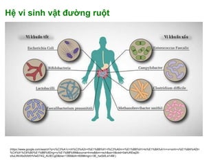 Su dung vi khuan va san pham.pptx