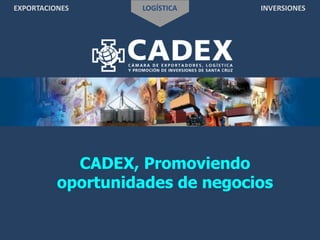 EXPORTACIONES LOGÍSTICA INVERSIONES
CADEX, Promoviendo
oportunidades de negocios
 