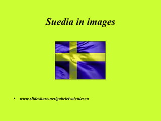 Suedia in images ,[object Object]