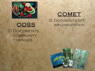 ODSS & Comet w/ Sue Evans | PPT