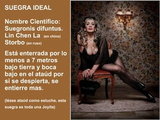 SUEGRA IDEAL Nombre Científico: Suegronis difuntus. Lin Chen La  (en chino) Storbo  (en ruso) Está enterrada por lo menos a 7 metros bajo tierra y boca bajo en el ataúd por si se despierta, se entierre mas. (léase ataúd como estuche, esta suegra es toda una Joyita)   