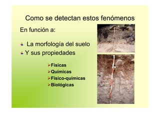 Como se detectan estos fenómenos
En función a:

 La morfología del suelo
 Y sus propiedades
           Físicas
           Químicas
           Físico-químicas
           Biológicas
 