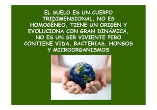 EL SUELO ES UN CUERPO
     TRIDIMENSIONAL, NO ES
  HOMOGÉNEO, TIENE UN ORIGEN Y
 EVOLUCIONA CON GRAN DINÁMICA,
   NO ES UN SER VIVIENTE PERO
CONTIENE VIDA, BACTERIAS, HONGOS
       Y MICROORGANISMOS
 