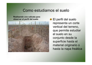 Como estudiamos el suelo
Realizando una calicata para
observar el perfil del suelo   El perfil del suelo
                               representa un corte
                               vertical del terreno,
                               que permite estudiar
                               el suelo en su
                               conjunto desde la
                               superficie hasta el
                               material originario o
                               hasta la napa freática
 