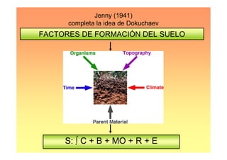 Jenny (1941)
      completa la idea de Dokuchaev
FACTORES DE FORMACIÓN DEL SUELO




     S: ∫ C + B + MO + R + E
 