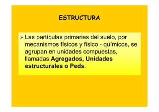 ESTRUCTURA


Las partículas primarias del suelo, por
mecanismos físicos y físico - químicos, se
agrupan en unidades compuestas,
llamadas Agregados, Unidades
estructurales o Peds.
 