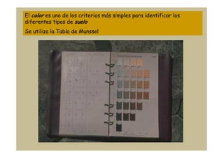 El color es uno de los criterios más simples para identificar los
diferentes tipos de suelo
Se utiliza la Tabla de Munssel
 