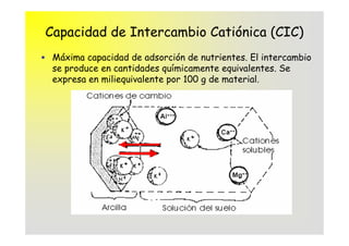 Capacidad de Intercambio Catiónica (CIC)
 Máxima capacidad de adsorción de nutrientes. El intercambio
 se produce en cantidades químicamente equivalentes. Se
 expresa en miliequivalente por 100 g de material.
 