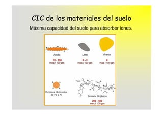 CIC de los materiales del suelo
Máxima capacidad del suelo para absorber iones.
 