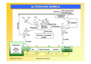 ALTERACIÓN QUÍMICA




   Feldespatos
                                                                   Óxidos de
     Micas
    Minerales         Illita        Montmorillonita    Caolinita   hierro y
     Ferro-                                                        aluminio
   magnesianos



Minerales Primarios            Minerales Secundarios
 