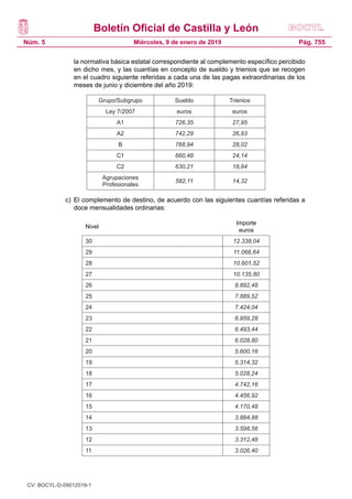 Boletín Oficial de Castilla y León
Núm. 5 Pág. 755Miércoles, 9 de enero de 2019
la normativa básica estatal correspondiente al complemento específico percibido
en dicho mes, y las cuantías en concepto de sueldo y trienios que se recogen
en el cuadro siguiente referidas a cada una de las pagas extraordinarias de los
meses de junio y diciembre del año 2019:
Grupo/Subgrupo Sueldo Trienios
Ley 7/2007 euros euros
A1 726,35 27,95
A2 742,29 26,93
B 768,94 28,02
C1 660,48 24,14
C2 630,21 18,84
Agrupaciones
Profesionales
582,11 14,32
c)	 El complemento de destino, de acuerdo con las siguientes cuantías referidas a
doce mensualidades ordinarias:
Nivel
Importe
euros
30 12.338,04
29 11.066,64
28 10.601,52
27 10.135,80
26 8.892,48
25 7.889,52
24 7.424,04
23 6.959,28
22 6.493,44
21 6.028,80
20 5.600,16
19 5.314,32
18 5.028,24
17 4.742,16
16 4.456,92
15 4.170,48
14 3.884,88
13 3.598,56
12 3.312,48
11 3.026,40
CV: BOCYL-D-09012019-1
 