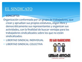 EL SINDICATO
CONCEPTO:
Organización conformada por un grupo de trabajadores, que
crean y aprueban sus propios estatutos, eligen libre y
democráticamente sus representantes y organizan sus
actividades, con la finalidad de buscar ventajas para los
trabajadores sindicalizados sobre los que no están
sindicalizados.
LIBERTAD SINDICAL INDIVIDUAL
LIBERTAD SINDICAL COLECTIVA