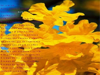 Lá vem ela Pelas praças e jardins Sorridente e  bela  A primavera  Com as chuvas criadeiras Resplandecendo nos canteiros Alegrando as brincadeiras Florescendo nos outeiros Sua brisa já posso sentir O aroma que trás lembrança Perfume que envolve a alma No colorido que da esperança Estação que alegra os olhos Estação que embeleza a terra Estação que acalanta e revela E inspira a escrita dos poetas É tempo de ver as “borboletas” É tempo de  ouvir  passarinhos É tempo de luz que revela A beleza da Primavera.  (Autor descomhecido)‏ 