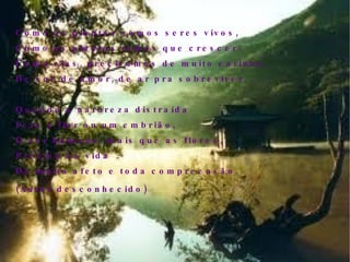 Como as plantas somos seres vivos, Como as plantas temos que crescer. Como elas, precisamos de muito carinho, De sol, de amor, de ar pra sobreviver. Quando a natureza distraída Fere a flor ou um embrião, O ser humano, mais que as flores, Precisa na vida De muito afeto e toda compreensão. (Autor desconhecido)‏ 