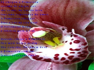 Já chegou a Primavera vestida de alegre cor tão verde, da cor da hera traz uma esperança de amor. A Primavera chegou! Traz a cor do céu azul.  O Sol ameno levou a tristeza para o Sul. Quando chega a Primavera fica mais belo o jardim. Tão colorido. Oh! Quem dera a Primavera sem fim. (autor desconhecido)‏ 