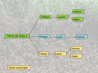 Suelo | PPS