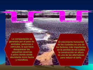 COMPACTACIÓN EXP. HUMANA El crecimiento horizontal de las ciudades es uno de los factores más importantes en la perdida de los suelos. la construcción en altura es una de las alternativas para reducir el daño. La compactación es generada por el paso de  animales, personas o vehículos, lo que hace desaparecer las  pequeñas cavernas o poros donde existe  abundante micro fauna y microflora. 
