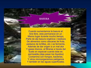 basura Cuando aumentamos la basura al  Aire libre, ésta permanece en un  Mismo lugar durante mucho tiempo, Parte de ala basura orgánica ( residuos De alimentos como cáscaras de fruta, pedazos de tortillas, etc.) se fermenta, Además de dar origen a un mal olor Y gases tóxicos, al filtrarse a través del Suelo en especial cuando éste es  permeable,(deja pasar los líquidos) Contamina con hongos, bacterias, Y otros microorganismos patógenos Y también en las aguas superficiales. 