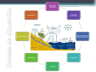 Absorción
Adsorción
Lavado
Escorrentía
Bioconcentración
Bioacumulación
Evaporación
Aerosol
Dispersión
Sedimentación
Deposición
 