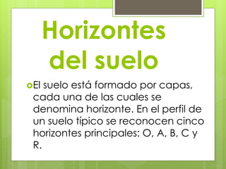 Horizontes 
del suelo 
El suelo está formado por capas, 
cada una de las cuales se 
denomina horizonte. En el perfil de 
un suelo típico se reconocen cinco 
horizontes principales: O, A, B, C y 
R. 
 