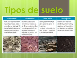 Tipos de suelo 
 