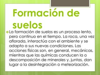 Formación de 
suelos 
La formación de suelos es un proceso lento, 
pero continuo en el tiempo. La roca, una vez 
aflorada, interactúa con el ambiente y se 
adapta a sus nuevas condiciones. Las 
acciones físicas son, en general, mecánicas, 
mientras que las químicas conducen la o 
descomposición de minerales y, juntas, dan 
lugar a la desintegración o meteorización. 
 