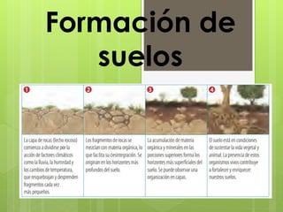 Formación de 
suelos 
