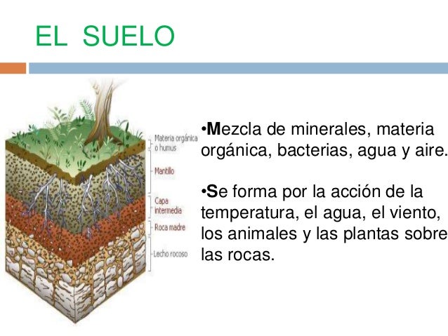 El Suelo Es Una Mezcla Homogenea O Heterogenea www.slideshare.net